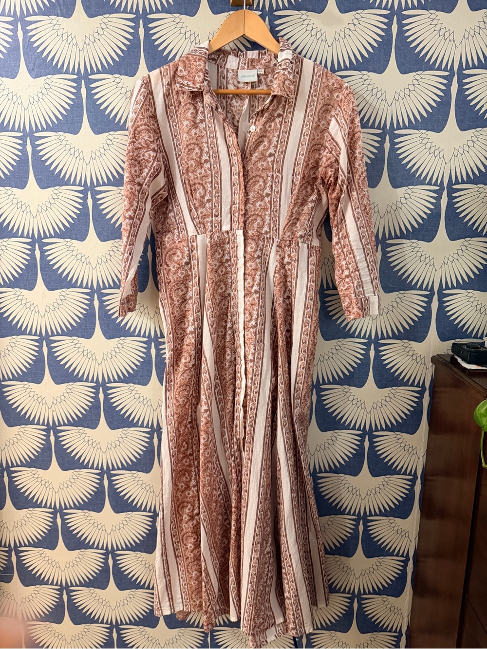 Julia Amory Striped Paisley Rust Maxi Shirt Dress